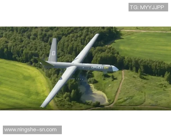 未来战场的智能化与无人化发展趋势及其对军事战略的深远影响分析 未来战场的智能化与无人化发展趋势及其对军事战略的深远影响分析